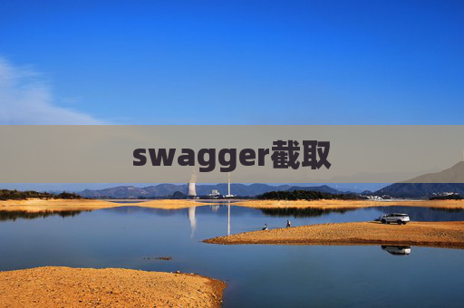 swagger截取